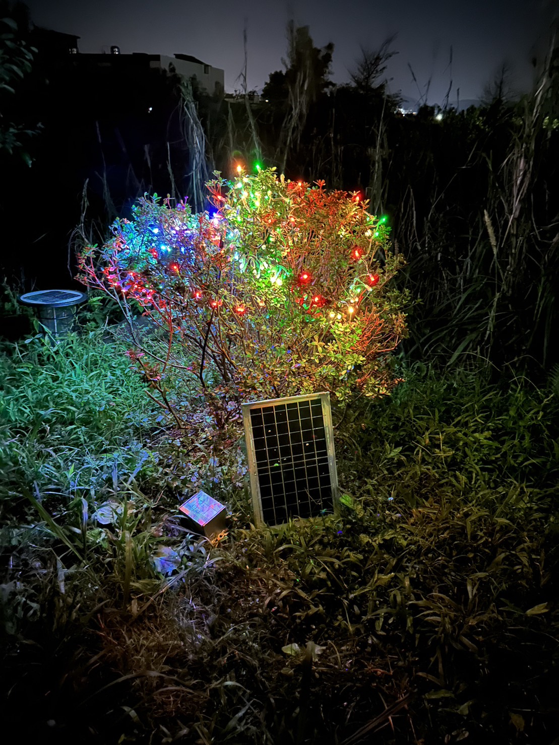 Solar Garden Light